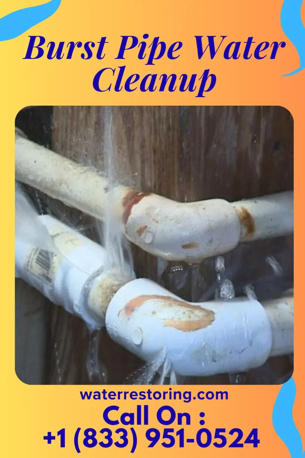 Burst Pipe Water Cleanup in Staunton, IL