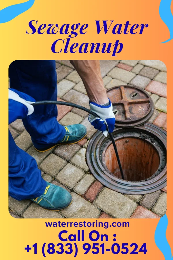 Sewage Water Cleanup in Staunton, IL